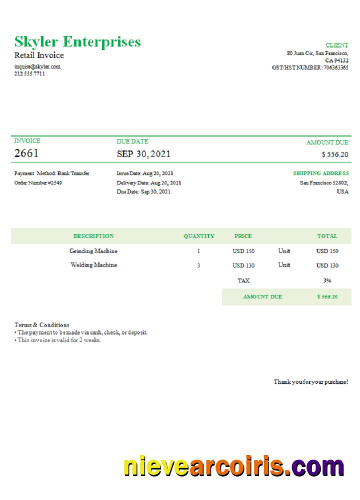 USA Skyler Enterprises invoice